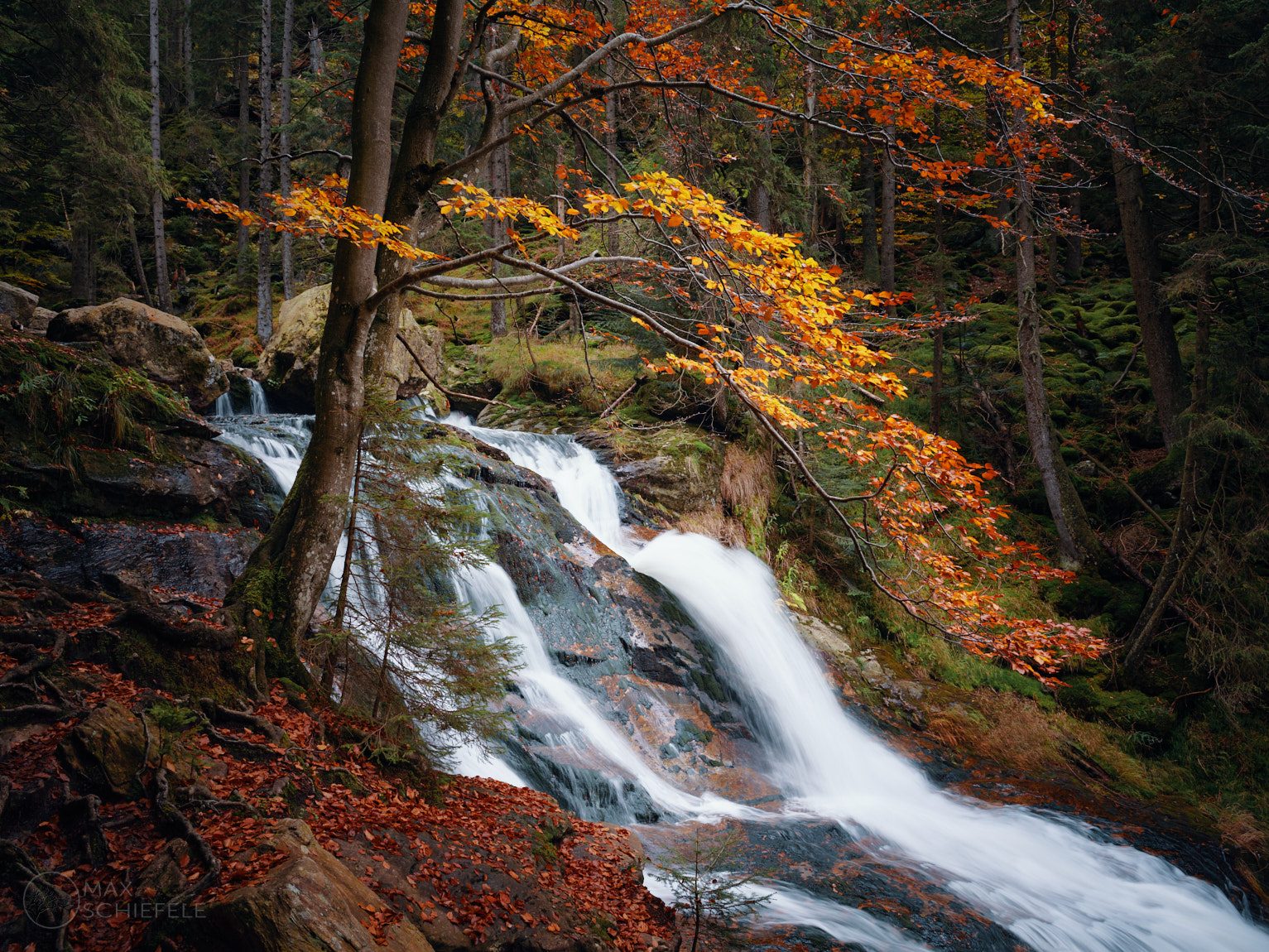 Bayerwald im Herbst - Man lernt nie aus...